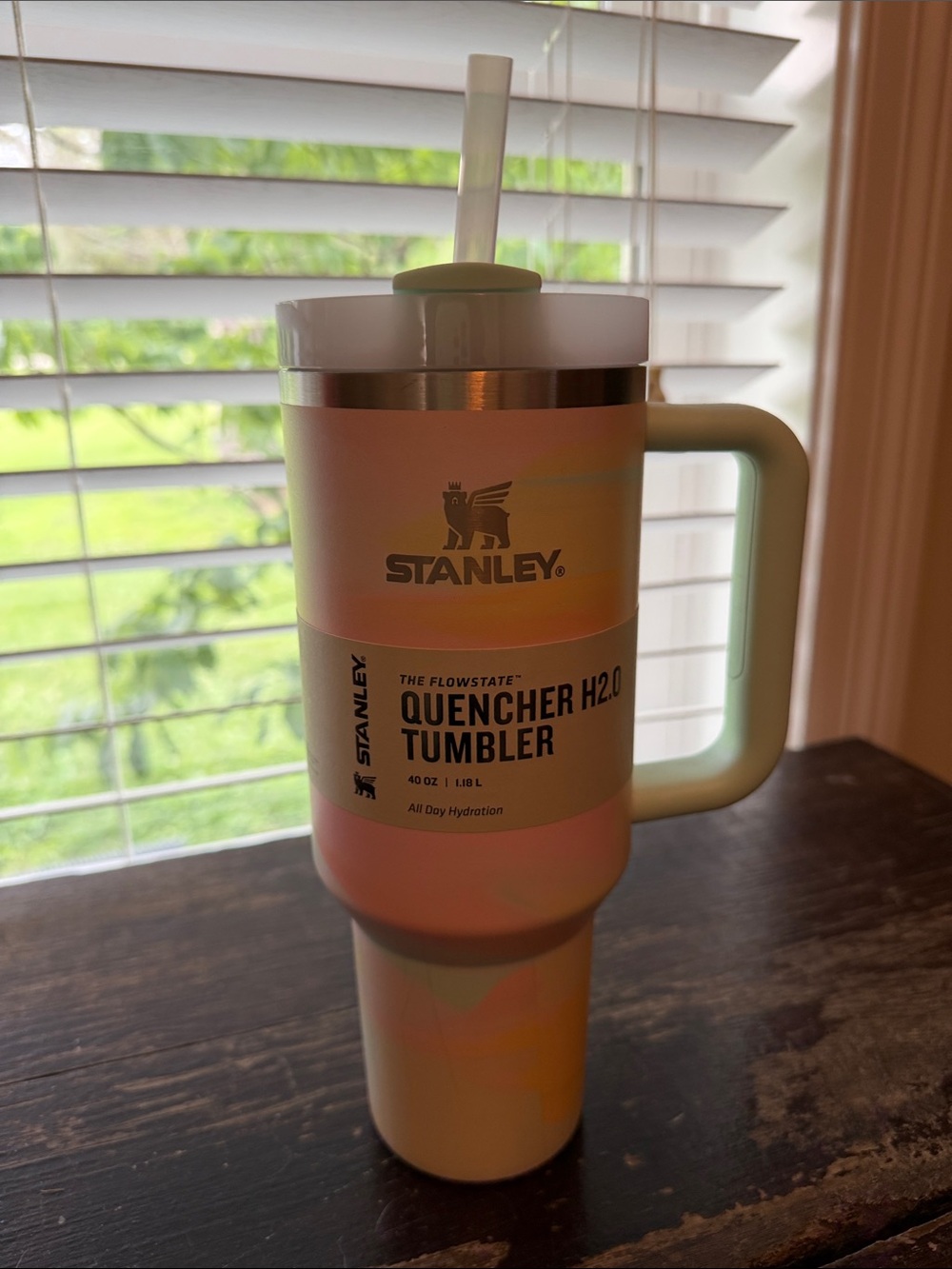 Stanley Pastel Multicolor Quencher H2.0 Tumbler with Handle and Straw